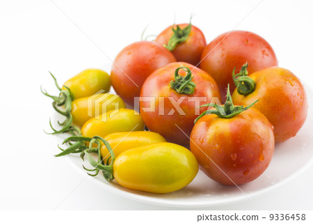 Two kinds of tomatoes on the dish Two kinds of tomatoes on the dish 9336458