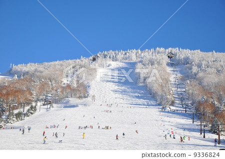 Shiga Kogen ski resort 9336824