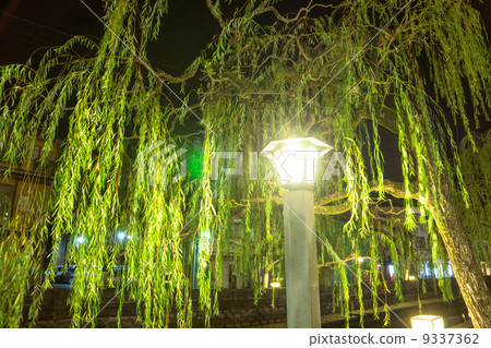 城崎溫泉度假村的夜晚 城崎溫泉度假村的夜晚 9337362