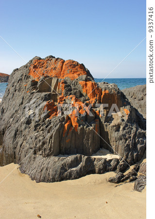 Spiky Beach, Tasmania, Australia 9337416