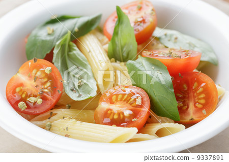 simple italian pasta penne with tomatoes and basil simple italian pasta penne with tomatoes and basil 9337891