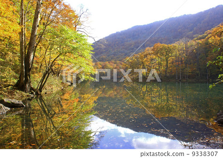 Kuwauma Autumn 9338307