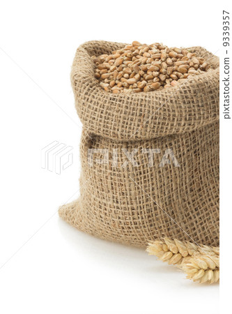 wheat grain on white wheat grain on white 9339357