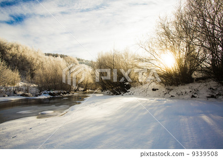 Winter landscape Winter landscape 9339508
