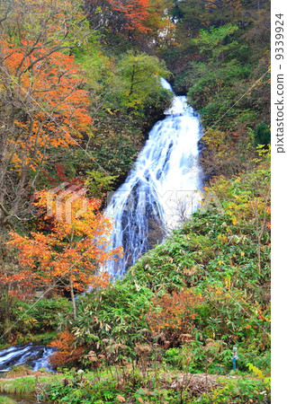 秋天的秋天 秋天的秋天 9339924