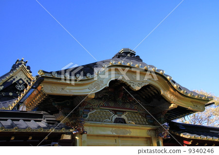 上野東照宮神社Karumen 上野東照宮神社Karumen 9340246