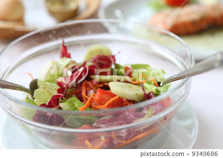 salad 9340686