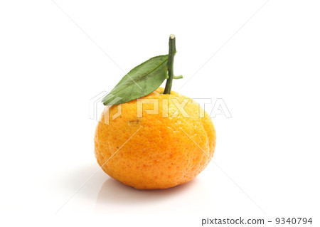 orange isolated in white background 9340794
