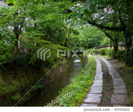 雨 - 哲學之路 9340882
