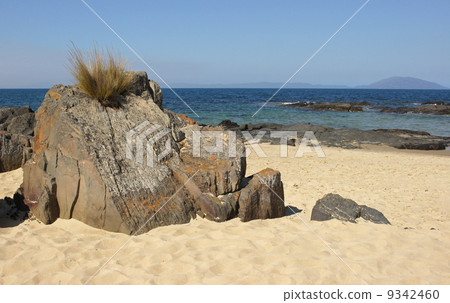 Spiky Beach, Tasmania, Australia 9342460
