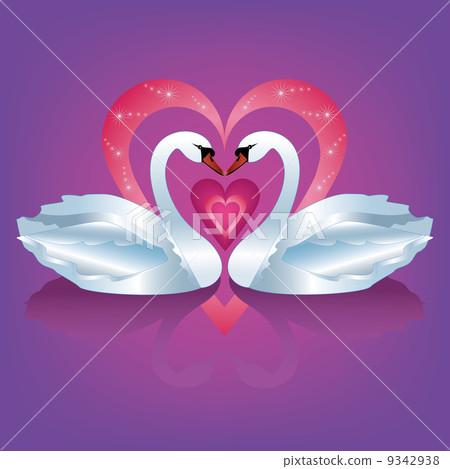 Two white swans 9342938
