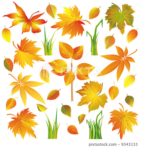 Set of autumn leaves and grass isolated over white Set of autumn leaves and grass isolated over white 9343133