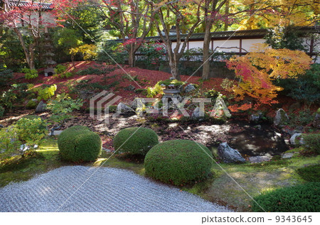 An office garden of Senguchi-ji 9343645