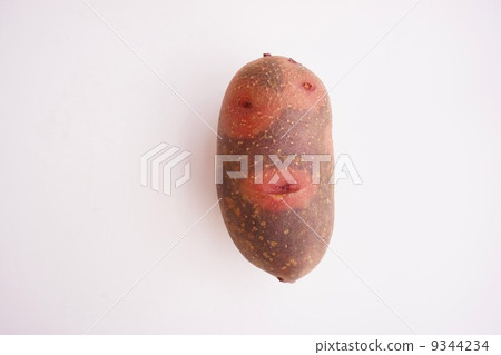 Grand Pettico Destroyer 9344234