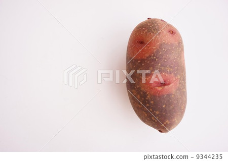 Grand Pettico Destroyer Grand Pettico Destroyer 9344235