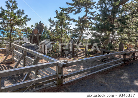 Miho no Matsubara old pine pillow 9345337