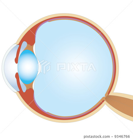 Eyeball Eyeball 9346766