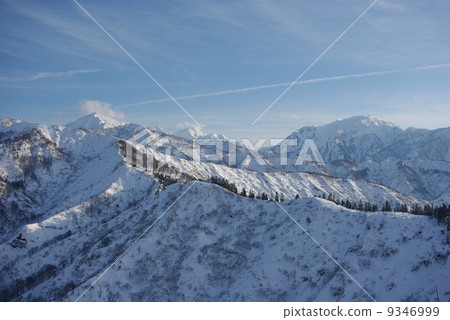 Echigo Miyama Echigo Miyama 9346999