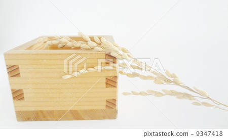 One bowl and rice 9347418