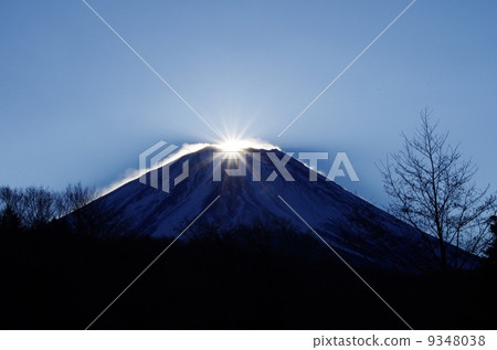 Diamond Fuji 7 9348038