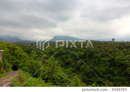 多雲的天空熱帶雨林 多雲的天空熱帶雨林 9348765