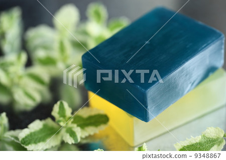 Soap   9348867
