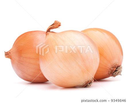 Gold onion vegetable bulbs 9349846
