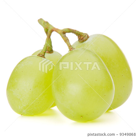 Green grape bunch 9349868