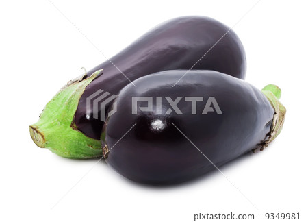 Aubergine Aubergine 9349981