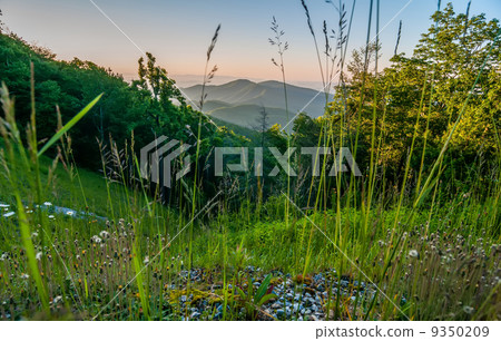 blue ridge parkway early morning 9350209