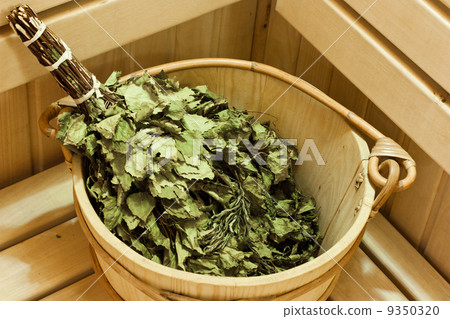 Sauna Bath Sauna Bath 9350320