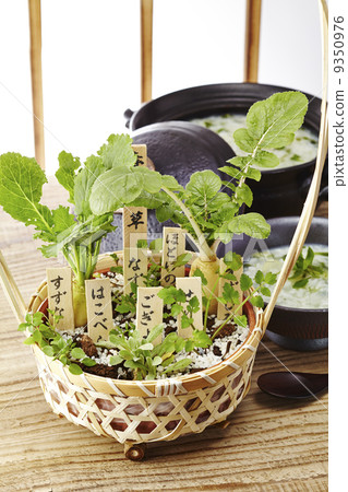 七種草藥 七種草藥 9350976