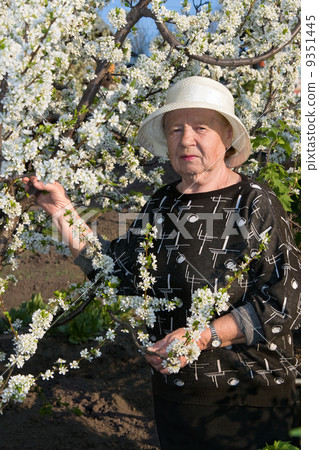 Gardener 9351445
