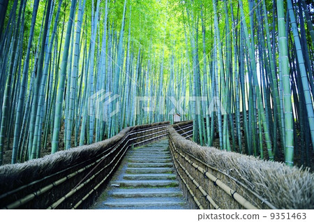 Shinko Buddha Temple Bamboo stand 9351463