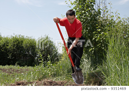 man in a vegetable garden 9351469