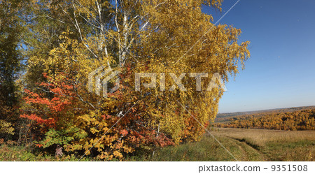 Indian summer 9351508