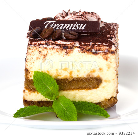 Delicious tiramisu dessert with cacao powder on top 9352234