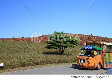 Hitachi beach park 9352344