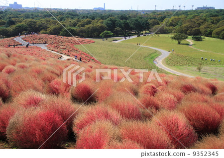 日立海灘公園 9352345