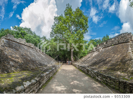 Juego de pelota, Mayan ballgame field, Coba, Yucatan, Mexico 9353309