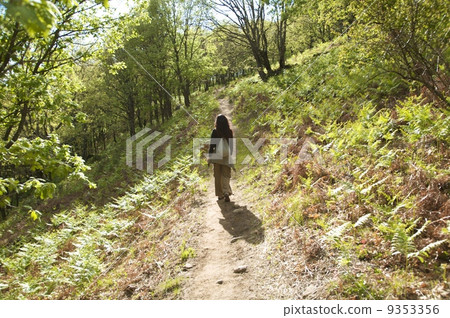 hiking at green nature 9353356