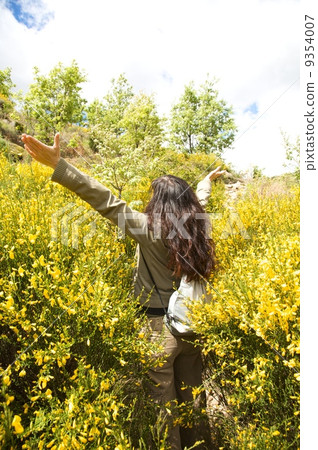 enjoy yellow flowers 9354007