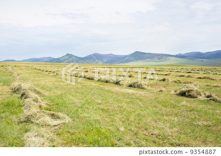 meadow with grass mowed down 9354887