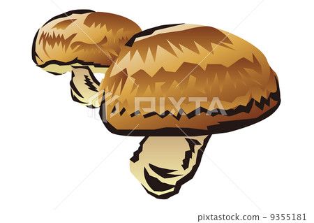 Shiitake mushroom illustration 9355181