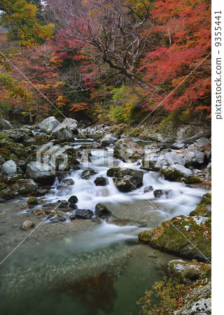 Odaseyama的山間溪流（長時間曝光） 9355441