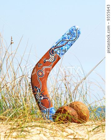 Boomerang and coconuts on overgrown sandy dune. 9355643
