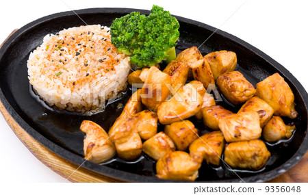 grilled chicken 9356048