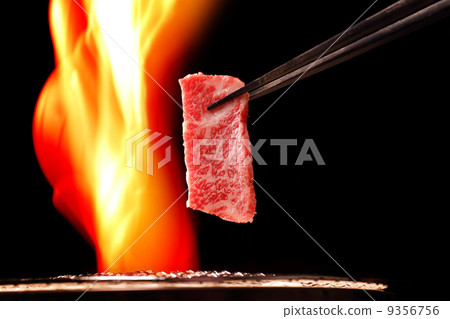  Grilled meat 9356756