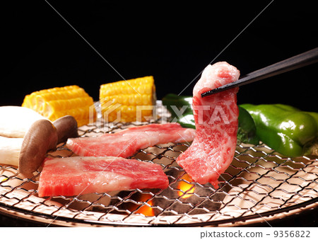 Grilled meat Grilled meat 9356822