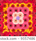Seamless Pattern from Vibrant Gerbera Flowers 9357486